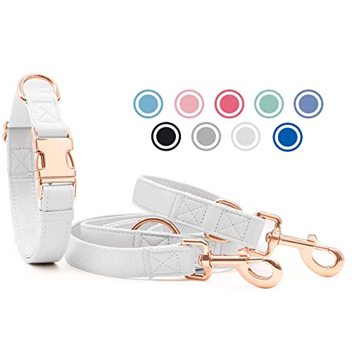 Weich Leder Hundehalsband und Leine (2m) Set - 3-Fach Verstellbar Hundeleine mit Halsband, Stilvollen Rose Gold Metall Schnalle & Nylon Hund Leinen für Welpen Kleine Mittlere Große Hunde Weiß, L von Heydoggy