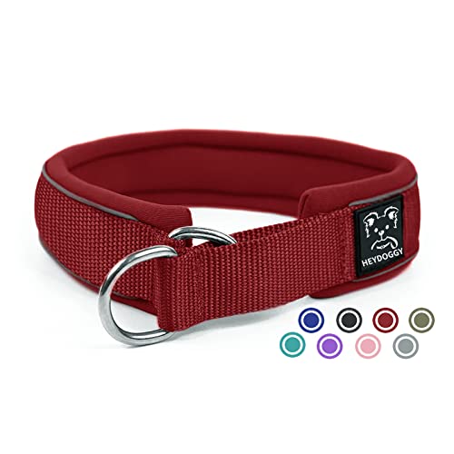 Weich Neopren Gepolstert Hundehalsband (4cm Breite) Reflektierend Hund Halsband mit Robust Nylon & Zugstopp, Bequem Zughalsband Dressurhalsband Kleine Mittlere Große Hunde Anti-Zug Walken S Wein von Heydoggy