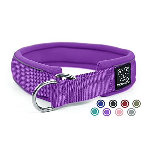 Weich Neopren Gepolstert Hundehalsband (4cm Breite) Reflektierend Hund Halsband mit Robust Nylon & Zugstopp, Bequem Zughalsband Dressurhalsband für Kleine Mittlere Große Hund Anti-Zug Walken M,Violett von Heydoggy