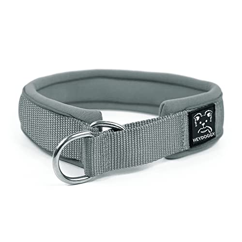 Weich Neopren Gepolstert Hundehalsband (4cm Breite) Reflektierend Hund Halsband mit Robust Nylon & Zugstopp, Bequem Zughalsband Dressurhalsband für Kleine Mittlere Große Hunde Anti-Zug Walken M,Grau von Heydoggy