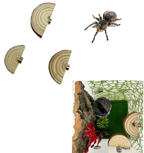 Heyshapeing Springspinnengehege aus Naturholz, mit Magneten, für Spoods, springende Spinnen, magnetisches Springspinnenzubehör (nicht im Lieferumfang enthalten) (Kiefernbogen-Form) von Heyshapeing