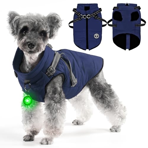 HezzLuv Hundejacke Winter, Wasserdichter Hundemantel Für Kleine Hunde, Winterjacken & Wintermäntel Für Kleine Hunde Mit Fleece-Innenfutter, D-Ring Und ReißVerschluss, Blau, Größe M von HezzLuv