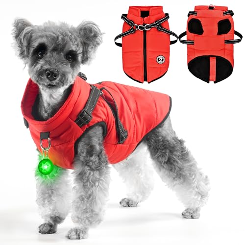 HezzLuv Hundejacke Winter, Wasserdichter Hundemantel Für Kleine Hunde, Winterjacken & Wintermäntel Für Kleine Hunde Mit Fleece-Innenfutter, D-Ring Und ReißVerschluss, Rot, Größe L von HezzLuv