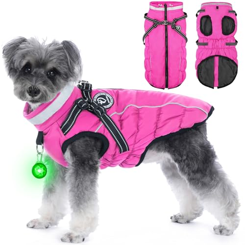 HezzLuv Hundemantel Winter, Hundemantel Wasserdicht, Warme Hundejacke mit Geschirr, Reflektierende Streifen, LED-Leuchtkragen, Wintermäntel für Hunde von HezzLuv