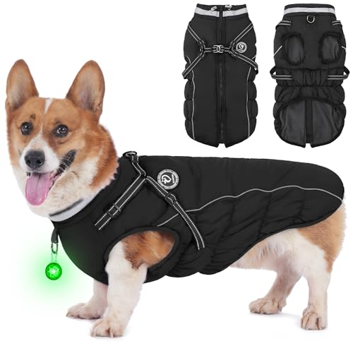 HezzLuv Hundemantel Winter, Hundemantel Wasserdicht, Warme Hundejacke mit Geschirr, Reflektierende Streifen, LED-Leuchtkragen, Wintermäntel für Hunde von HezzLuv