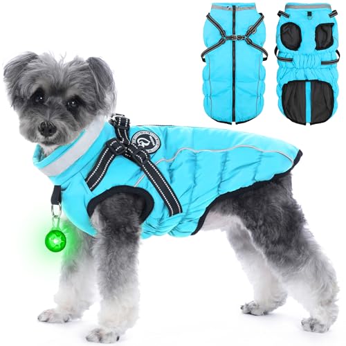 HezzLuv Hundemantel Winter, Hundemantel Wasserdicht, Warme Hundejacke mit Geschirr von HezzLuv