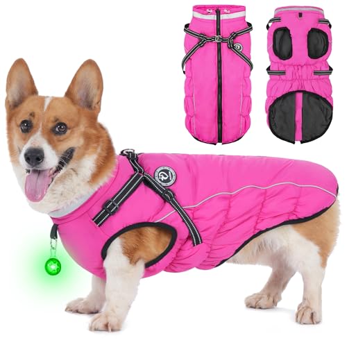 HezzLuv Hundemantel Winter, Hundemantel Wasserdicht, Warme Hundejacke mit Geschirr von HezzLuv