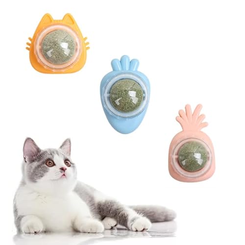 Katzenminze Ball 3 Stück Katzenminze Ball 360° Rotierende Natürliche Katzenminze Bälle Spielzeug Selbstklebend Katzenspielzeug Essbar mit Katzen Minze Spielzeug Katze Kugel Cat Interaktives Spielzeug von HhBdy