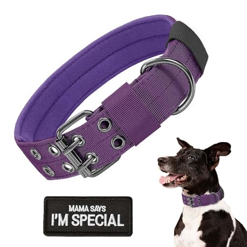 Taktisches Hundehalsband, Militär-Hundehalsband, verstellbar, Nylon, robuste Metallschnalle mit schwarzem Aufnäher, taktische Halsbänder für mittelgroße und große Hunde (Violett, L) von HhiMyOct