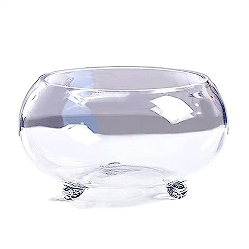 Deko Aquarium, verdicktes transparentes Glas-Tank, Schildkröten-Tank mit Unterstützung, Kleiner Fuß, ökologisches Aquarium, Zuhause, Wohnzimmer, Büro, Desktop Zubehör(Groß) von Hhmmei2024-23