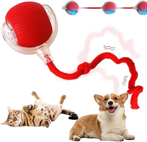 HiCWX Interaktiver rollender Katzenball, 2025, verbesserter automatischer Katzenball, Hundespielzeug, interaktives Katzenspielzeug, automatisches Katzenspielzeug, selbstbewegliches Hundespielzeug, von HiCWX