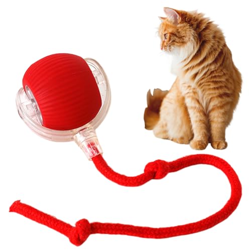 HiGropcore Interactive Cat Toys Rolling Ball,Ball Hund Hundespielzeug Ball mit Schnur Interaktives Hunde Ball Spielzeug Automatisch Rollender Ball für Kleine,Mittlere Hunde (Rot) von HiGropcore