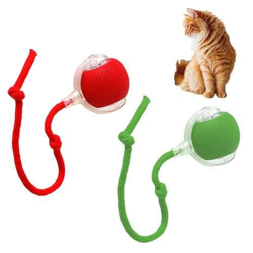 HiGropcore Interactive Cat Toys Rolling Ball,Ball Hund Hundespielzeug Ball mit Schnur Interaktives Hunde Ball Spielzeug Automatisch Rollender Ball für Kleine,Mittlere Hunde (Rot+Grün) von HiGropcore