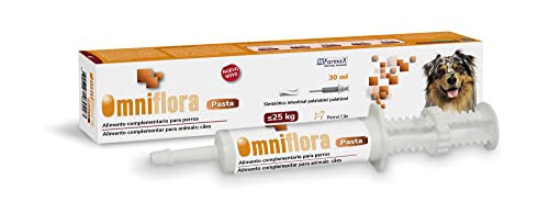 OMNIFLORA Nudeln, 30 ml von Hifarmax