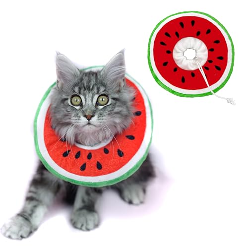 Elizabenthan Halsband für Katzen, Wassermelone, Größe M von Guoml