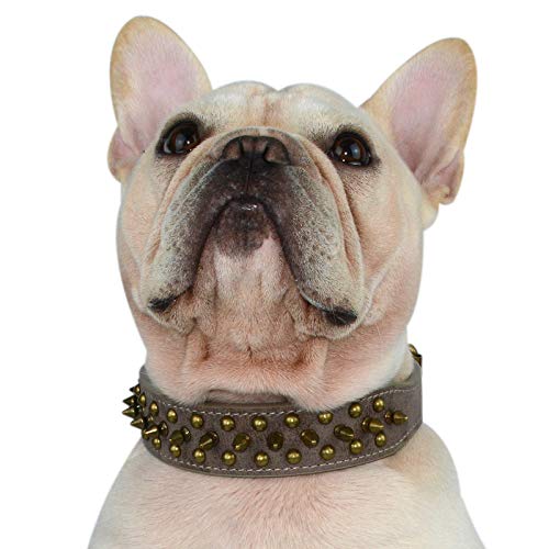 Hifrenchies Hundehalsband mit Nieten, verstellbar, aus Mikrofaser, Leder, für Französische/Bulldogge/Mops, geeignet für kleine, mittelgroße und große Hunde, Größe M, antik-grau von Hifrenchies