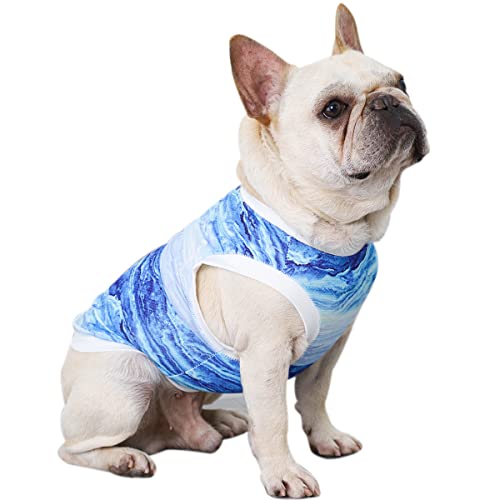 Hifrenchies Herbstgeschirr Weste für Hunde, französische Bulldogge, Herbstkleidung, Hundeweste für Frenchie (2XL) von Hifrenchies