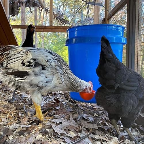 Automatische Tränke für Huhn, Tassen, Wasserspender für Huhn, zufällige Farbe von High-Tech Place