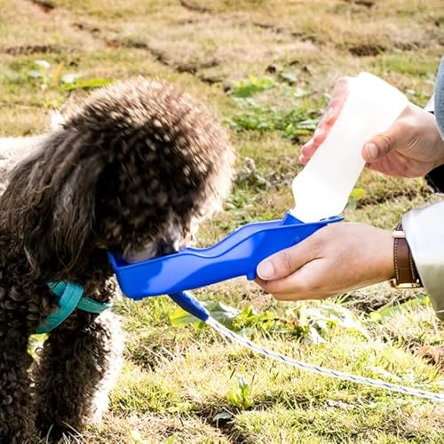 Tragbare Wasserflasche für den Außenbereich, 250 ml, zufällige Farbauswahl von High-Tech Place