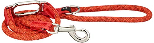 High5Dogs, Ergonomische Hundeleine, Orange, 13 mm breit und 140 cm lang, langlebig und leicht zu reinigen, ideal für Spaziergänge in der Stadt und Wanderungen, Modell Leisure Clic von High5Dogs