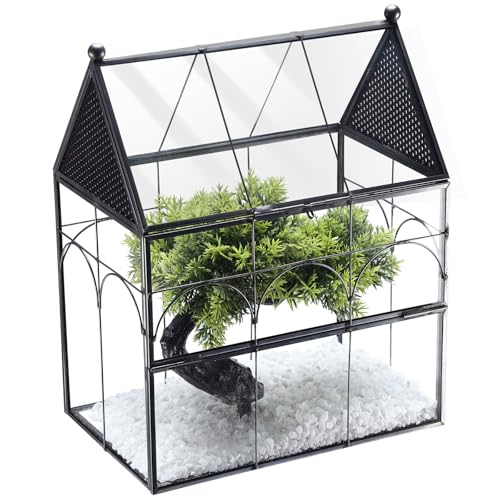 HighFree Glas-Terrarium mit Belüftungslöchern, Tür vorne zum Öffnen, Sukkulentententententen-Terrarium für Sukkulenten, Kakteen, Schnecken, Spinnen und Miniaturreptilien – 7,48 x 4,92 x 9,06, von HighFree