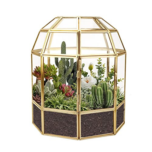 HighFree Große Glaspflanzenterrarium, transparente Geschenkkarten-Box für Hochzeitsempfang, Sukkulenten und Luftpflanzer, Andenken und Heimdekoration von HighFree