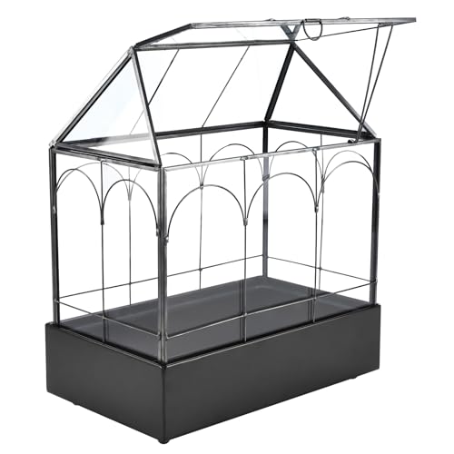 HighFree Großes Glas-Terrarium mit Metallwanne, Glasgewächshaus-Terrarium, Sukkulenten-Terrarium Kit für Sukkulenten, Kakteen, Schnecken, Spinnen und Miniaturreptilien, Schwarz (Metallkugelfüße) von HighFree