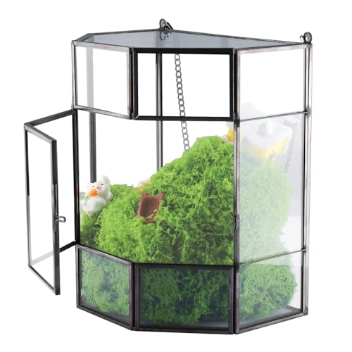 HighFree Hängendes Glaspflanzen-Terrarium Handgefertigt, Mini-Gewächshaus für den Innenbereich für Sukkulenten & Luftpflanzgefäß, Terrarium mit Deckel, geometrisches Terrarium aus Glas, für Zuhause, von HighFree