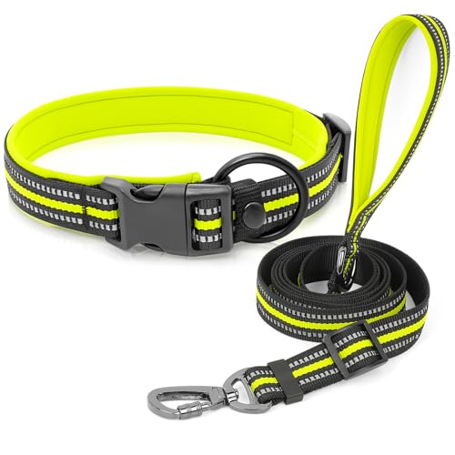 Reflektierendes Hundehalsband und Leine, doppellagiges Nylon-Gurtband, Halsband und Leine mit reflektierenden Bändern, Haustierzubehör für Ihre Hunde (Grün, L) von Higo