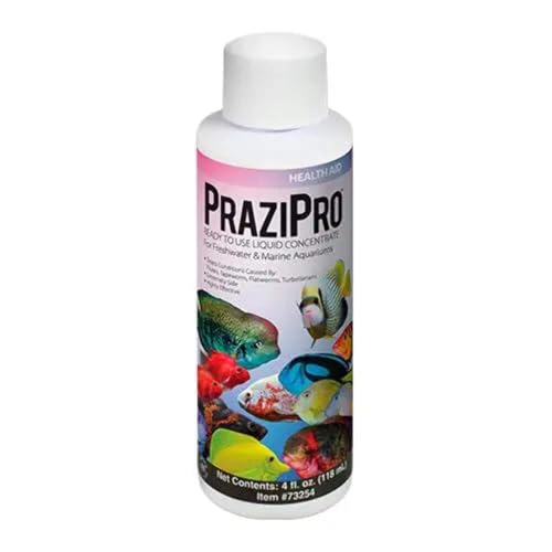 Allpawspetsupply Hikari Aquarium Solutions Prazipro 118 ml von Hikari