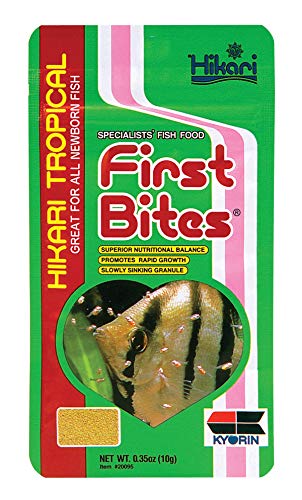 HIKARI First Bites Halbblühendes Frittierfutter für Haustiere, 10 ml von Hikari