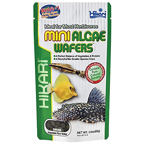 HIKARI M138197 Mini Algae Wafers 85G, 1000 ml von Hikari