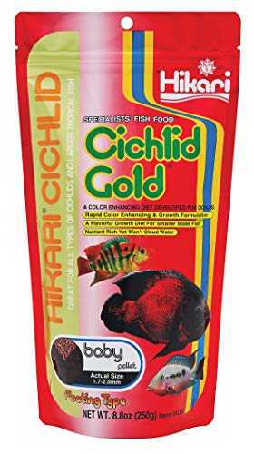 HIKARI SALES U.S.A,INC 260233/1088 Hikari Cichlid Gold Baby 250g, einen Artikel von Hikari