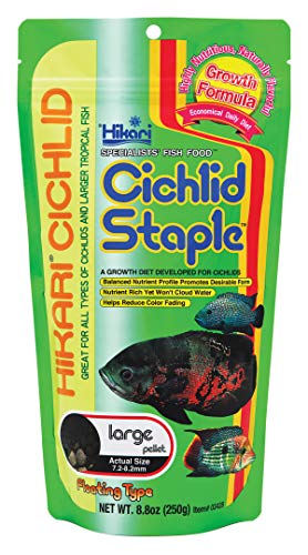 HIKARI SALES U.S.A,INC 4924/802 Hikari Cichlid Staple Large 250g von Hikari