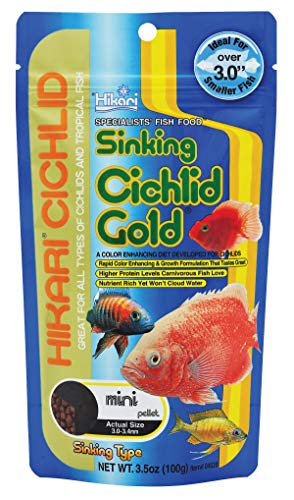 Hikari 49322/2198 Gold Sinking (Cichlid) - Mini, 1x 100 g von Hikari