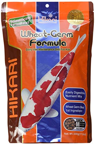 Hikari Fischfutter Wheatgerm Medium 500 g, 1er Pack (1 x 500 g) von Hikari