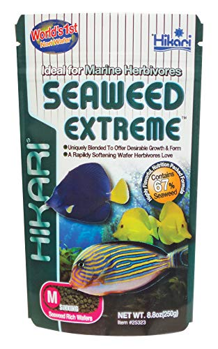 HIKARI M138202 Seaweed Extreme Medium Wafer 250G, 1000 ml von Hikari