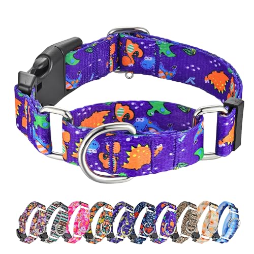 Hikiko Martingale Halsband für Hunde, niedliches Dinosaurier-Hundehalsband für kleine, mittelgroße und große Hunde, bequemes Nylon, lustige Hundehalsbänder (Dinosaurier, klein) von Hikiko