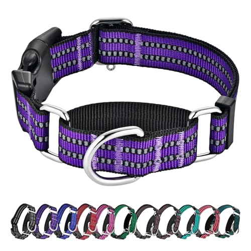 Hikiko Martingale Halsband für Hunde, reflektierendes Nylon-Hundehalsband mit Schnellverschluss-Schnalle, verstellbar, Training, rutschfest, Hundehalsband (klein, lila) von Hikiko