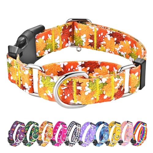 Hikiko Martingale-Halsband für Hunde mit Schnalle für kleine, mittelgroße und große Hunde, Nylon, verstellbar, Herbst-Hundehalsband, Haustiergeschenk, Spazierengehen, Training (orangefarbene Blätter, von Hikiko