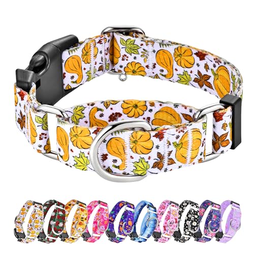 Hikiko Martingale-Halsband für Hunde mit Schnalle für kleine, mittelgroße und große Hunde, weiches Nylon, Herbst-Hundehalsband, Haustiergeschenk, Spazierengehen, Training (Kürbis, Größe M) von Hikiko