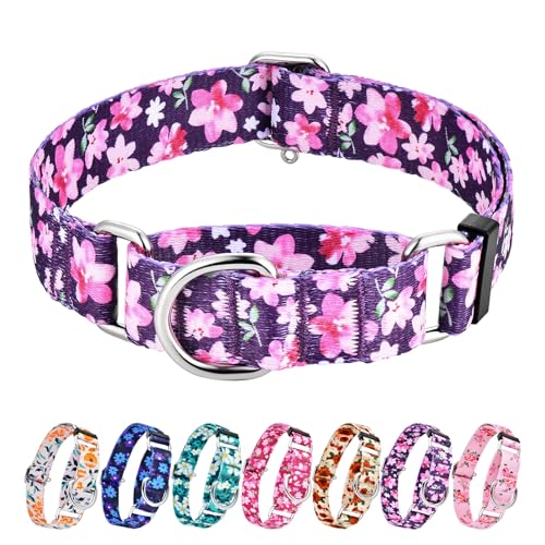 Hikiko Martingale Halsband für Hunde ohne Schnalle, violettes Blumenmuster, süßes Mädchen-Hundehalsband für extra kleine Hunde, Japan-Violett, Größe XS von Hikiko