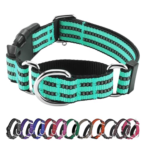 Hikiko Martingale Hundehalsband, reflektierend, Nylon, mit Schnellverschluss-Schnalle, verstellbar, Training, rutschfest, Größe L, Türkis von Hikiko