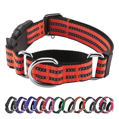 Hikiko Martingale Hundehalsband, reflektierend, Nylon, mit Schnellverschluss-Schnalle, verstellbar, Training, rutschfest, Größe S, Mandarine von Hikiko