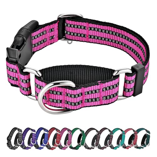 Hikiko Martingale Hundehalsband, reflektierend, Nylon, mit Schnellverschluss-Schnalle, verstellbar, Training, rutschfest, Größe XS, Rosa von Hikiko