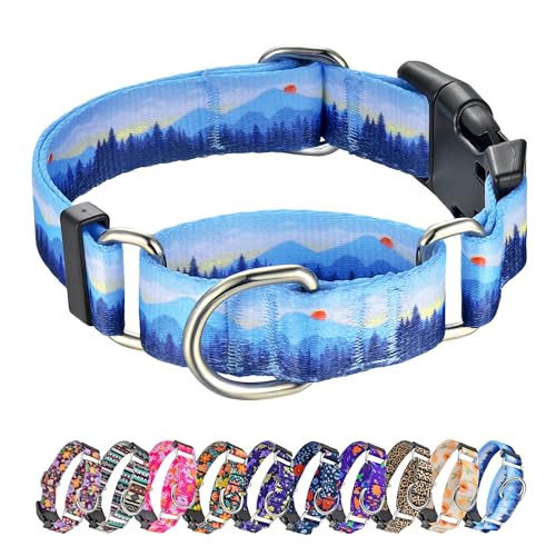 Hikiko Martingale Hundehalsband für Hunde, weich, langlebig, für kleine, mittelgroße und große Jungen und Männer, kein Ziehen, rutschfeste Sicherheitsschnalle, Hundehalsband (Hill, L) von Hikiko