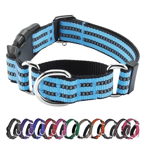 Martingale Hundehalsbänder – Reflektierendes Hundehalsband mit Schnellverschluss-Schnalle, Verstellbares Nylon-Trainings-Hundehalsband, geeignet für Welpen für kleine, mittelgroße und große Hunde von Hikiko