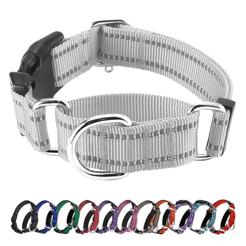 Hikiko Reflektierendes Martingale-Hundehalsband für große Hunde mit Schnalle, Nylon, Training, Spazierengehen, kein Ziehen, Silbergrau, L von Hikiko