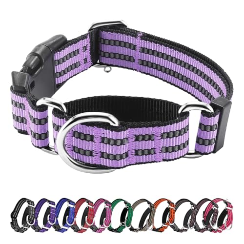 Hikiko Martingale Hundehalsband, reflektierend, Nylon, mit Schnellverschluss-Schnalle, verstellbar, Training, rutschfest, Größe L, Lavendel von Hikiko