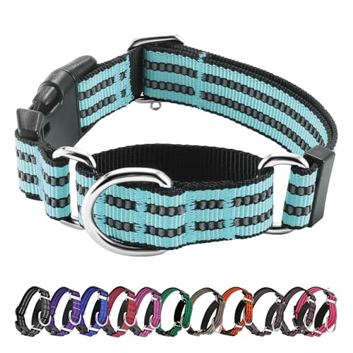 Hikiko Martingale Hundehalsband, reflektierend, Nylon, mit Schnellverschluss-Schnalle, verstellbar, Training, rutschfest, Größe S, Himmelblau von Hikiko